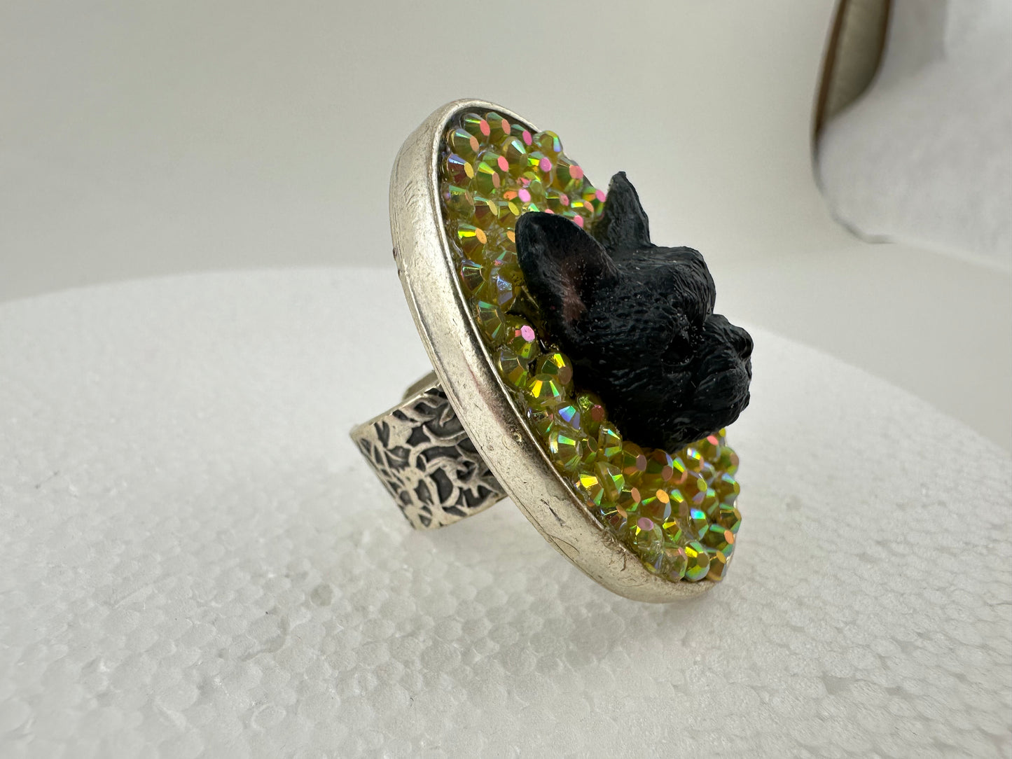 Frenchie in the Sun Ring