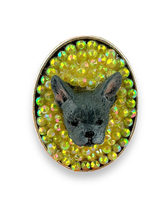 Frenchie in the Sun Ring